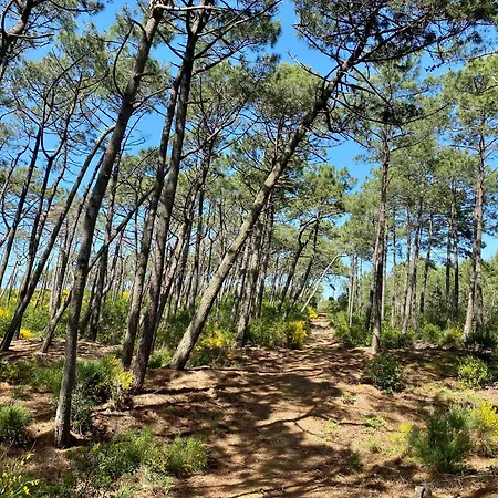 Landes 8 Personnes *