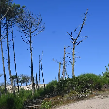 Landes 8 Personnes *