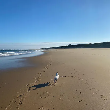 Landes 8 Personnes Alpesi faház Lit-et-Mixe