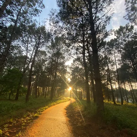 Landes 8 Personnes Chalet