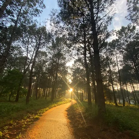 Landes 8 Personnes Alpesi faház